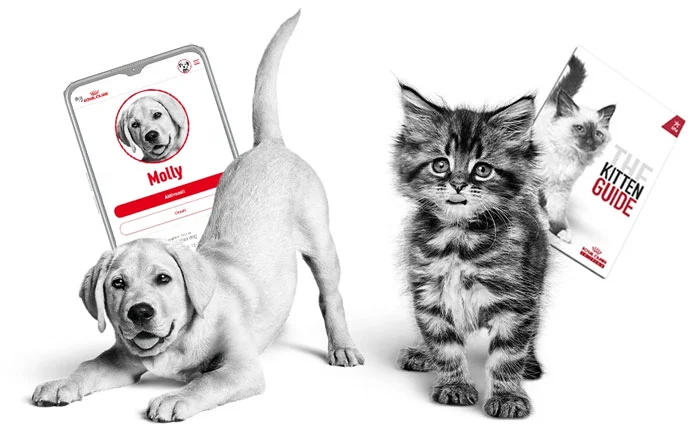 My Royal Canin kölyökprogram