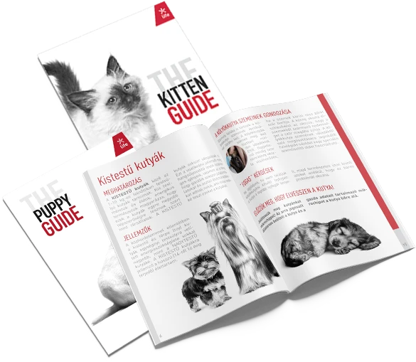 Royal Canin